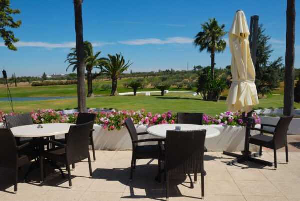 A patio with tables and chairs, palm trees and a golf course.